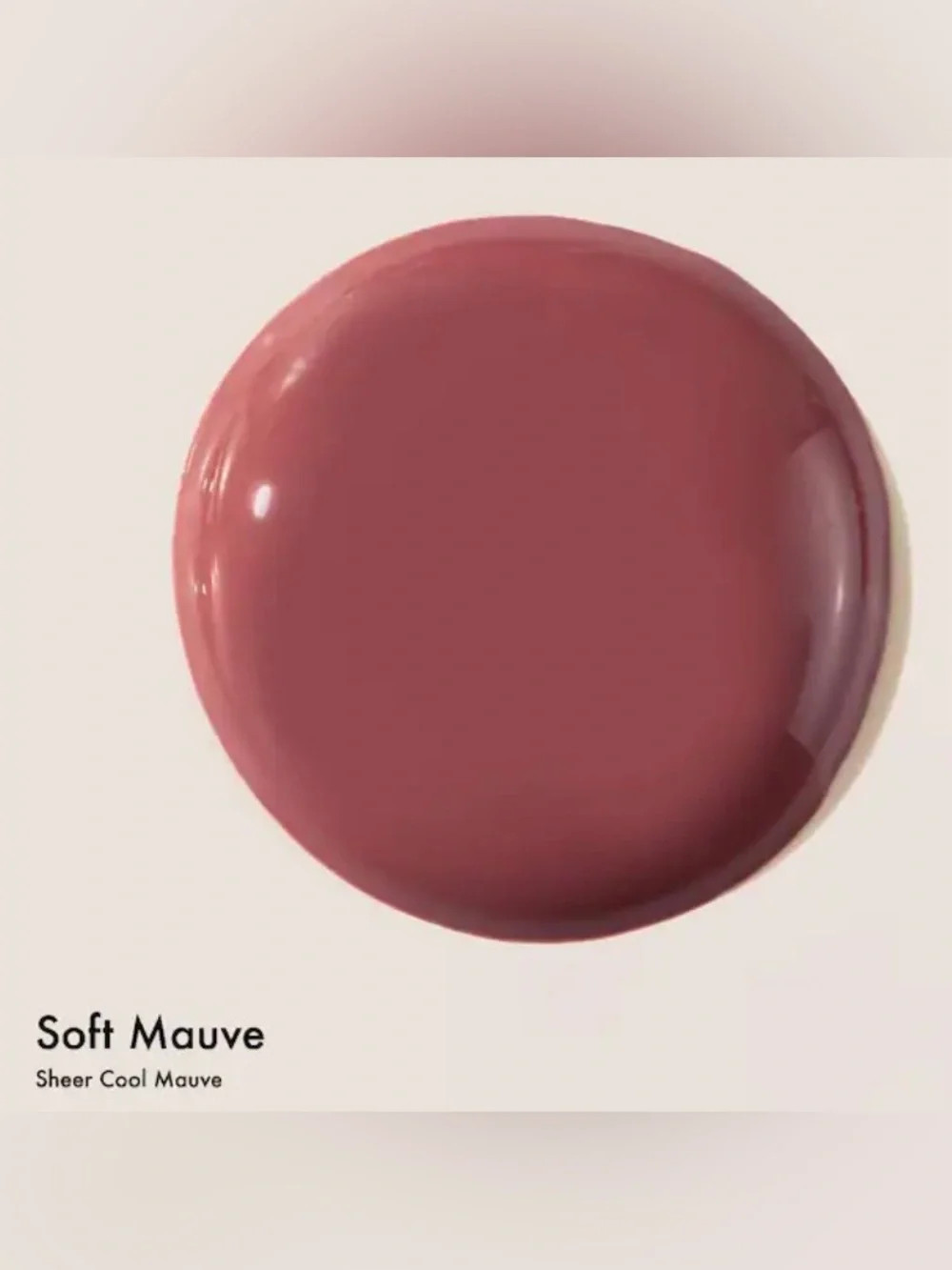 Summer Fridays Dream Lip Oil for Moisturizing Sheer Coverage SOFT MAUVE NIB
